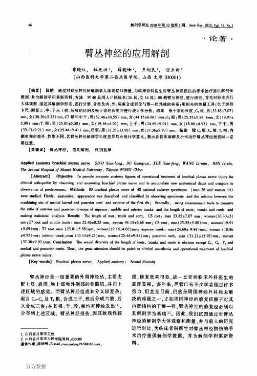 臂丛神经的应用解剖