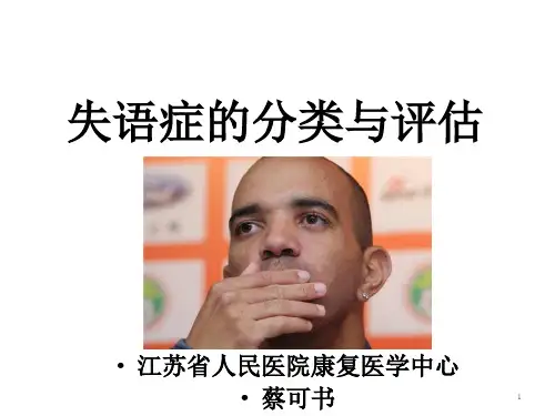 失语症分类和评估