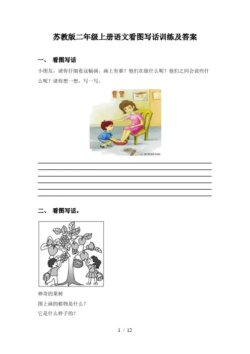 苏教版二年级上册语文看图写话训练及答案