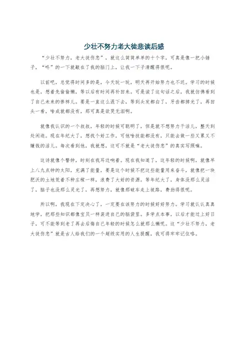 少壮不努力老大徒悲读后感