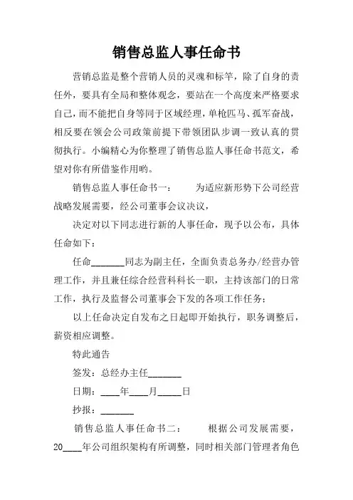 销售总监人事任命书