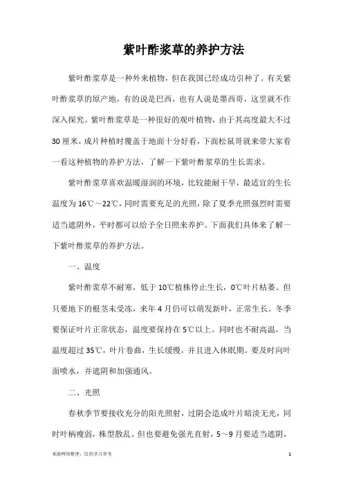 紫叶酢浆草的养护方法