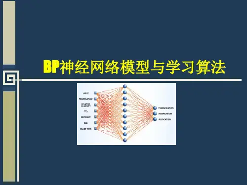 BP神经网络详解-最好的版本课件(1)