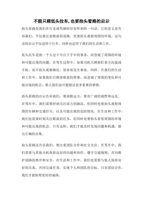 不能只顾低头拉车,也要抬头看路的启示