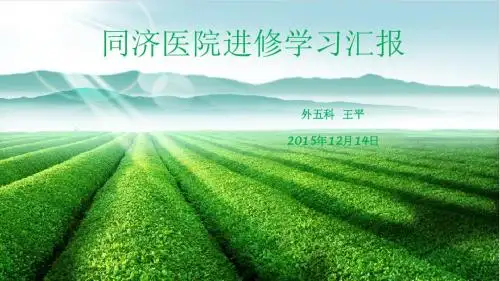 进修汇报2