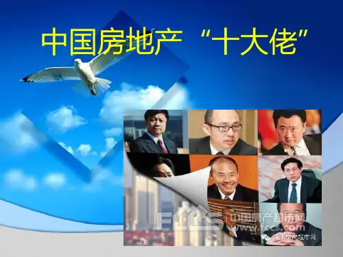 中国房地产十大佬资料