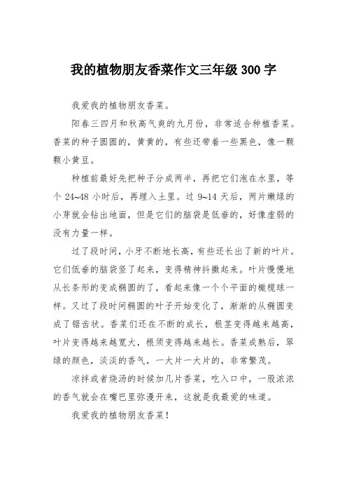 我的植物朋友香菜作文三年级300字