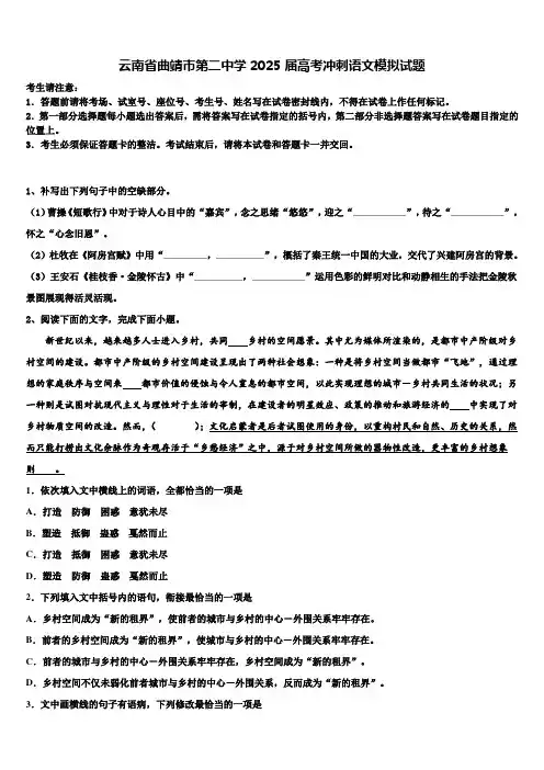 云南省曲靖市第二中学2025届高考冲刺语文模拟试题含解析