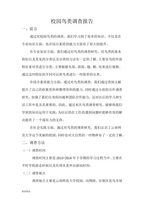 鸟类调查报告