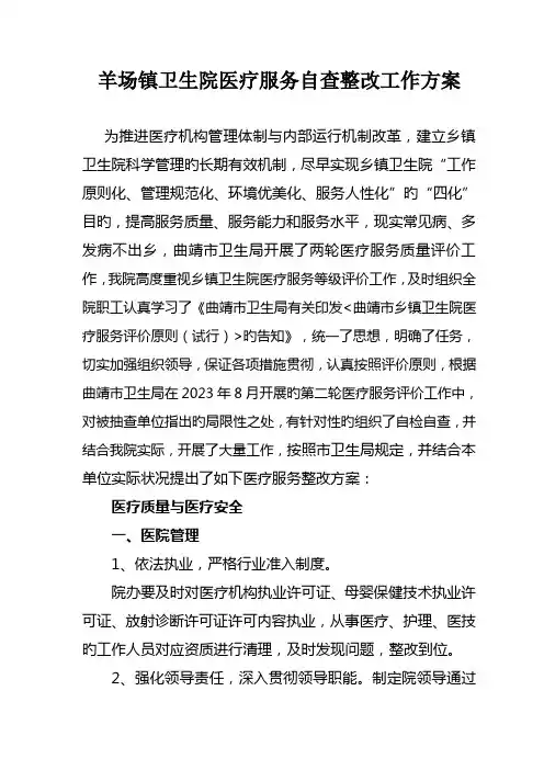 羊场镇卫生院医疗服务整改方案