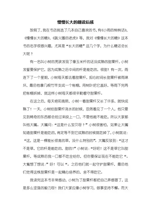 读后感：慢慢长大的糖读后感700字