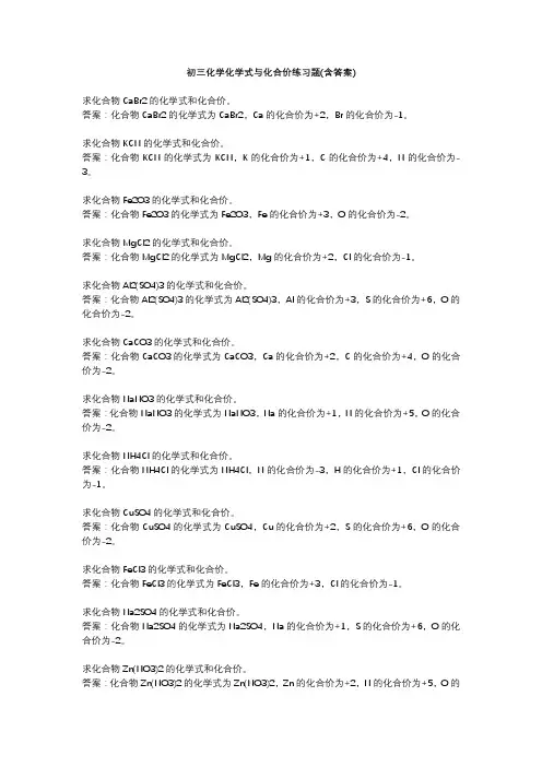 初三化学化学式与化合价练习题(含答案) 