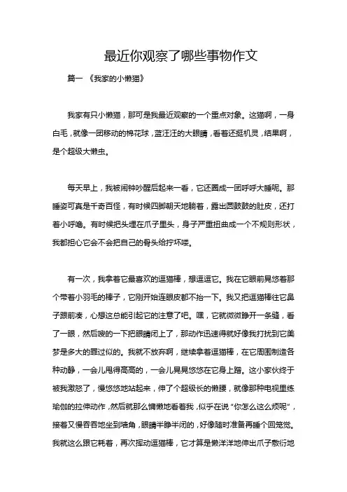 最近你观察了哪些事物作文