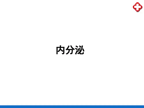 内分泌—胰岛内分泌(生理学课件)