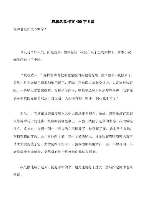 猫和老鼠作文400字8篇
