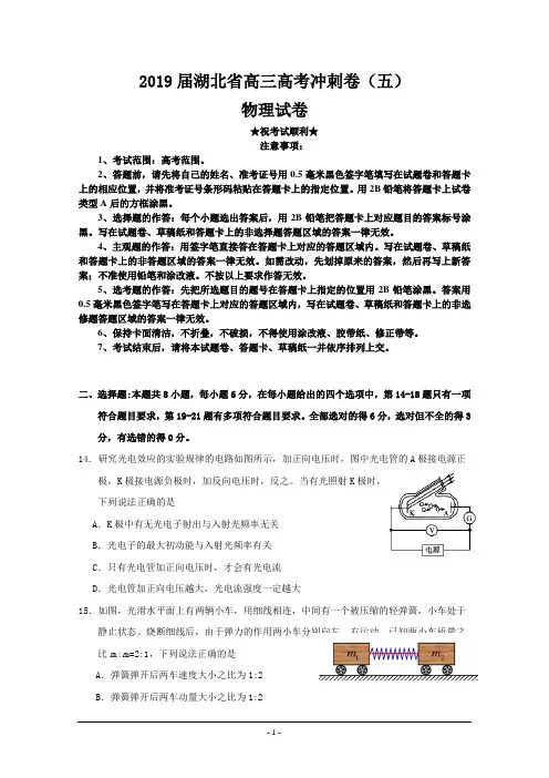 2019届湖北省高三高考冲刺卷(五)物理试题