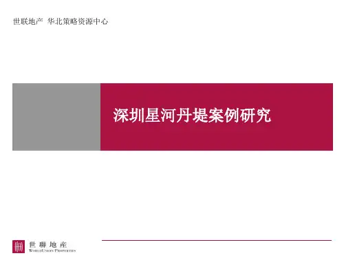 20110114_深圳_星河丹堤案例研究