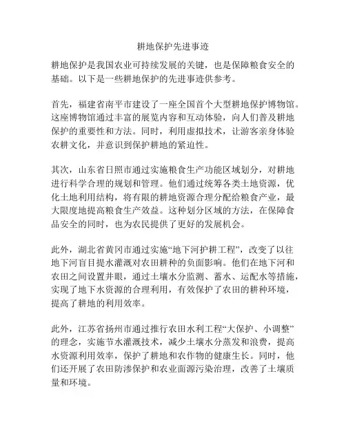 耕地保护先进事迹