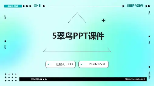 5翠鸟ppt课件