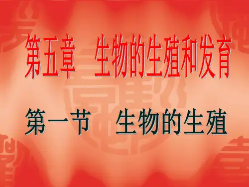 5.1生物的生殖PPT资料24页