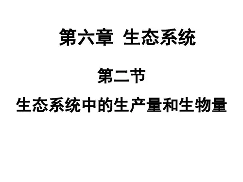 生态系统中的生产量和生物量