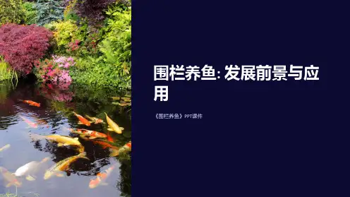 《围栏养鱼》课件