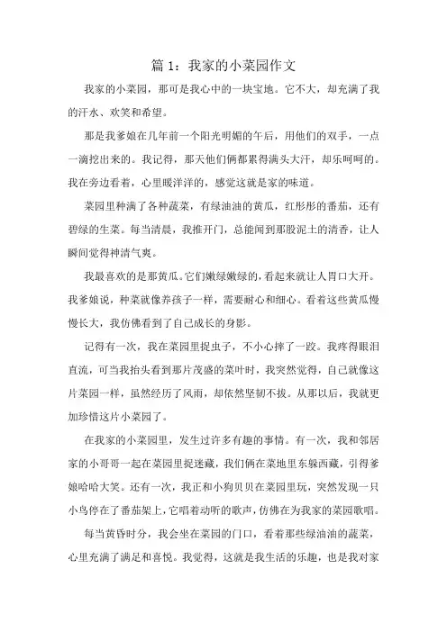 我家的小菜园作文精选10篇