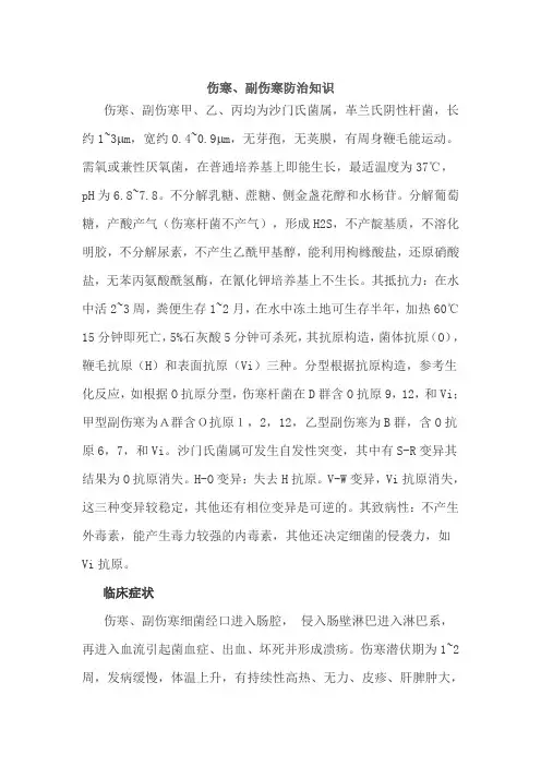 伤寒、副伤寒防治知识
