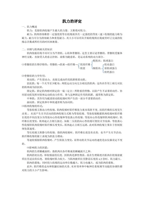 肌力的评定