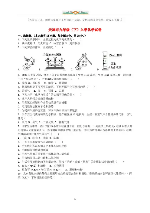 九年级化学下册入学试题(含解析)新人教版.doc