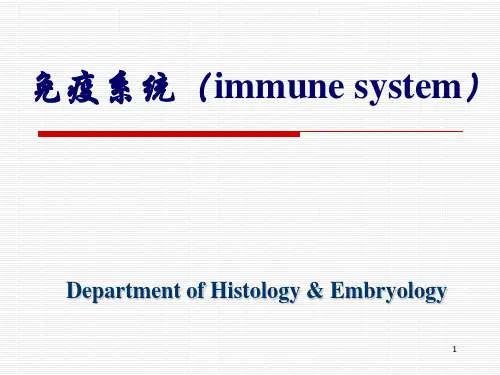 课件PPT免疫系统