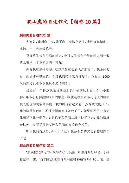 爬山虎的自述作文【精彩10篇】