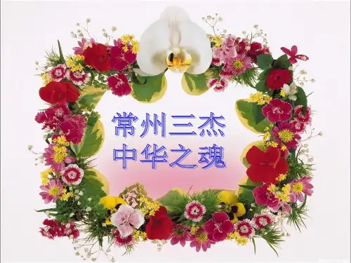 常州三杰的调查总结