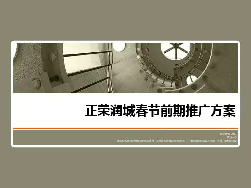 正荣润城地产项目推广方案