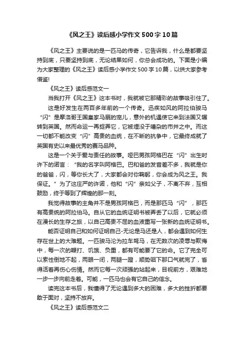《风之王》读后感小学作文500字10篇