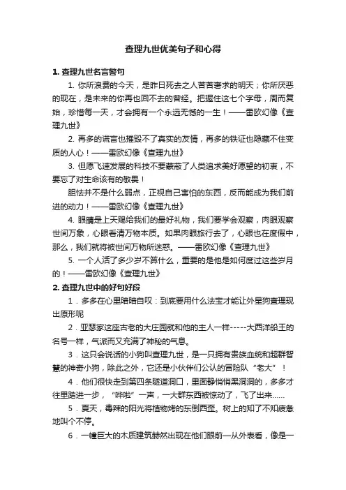 查理九世优美句子和心得