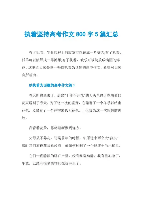 执着坚持高考作文800字5篇汇总 2