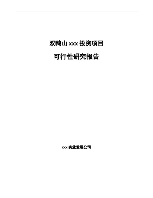 双鸭山企业投资项目可行性研究报告