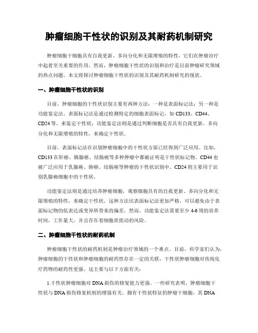 肿瘤细胞干性状的识别及其耐药机制研究