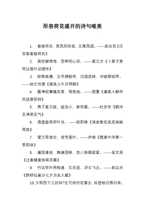 形容荷花盛开的诗句唯美