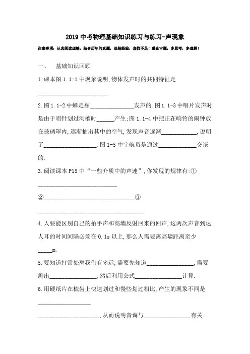 2019中考物理基础知识练习与练习-声现象.doc
