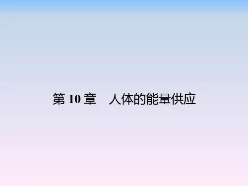 北师大版七年级下册生物 10.1食物中能量的释放 课件 (共15张PPT)