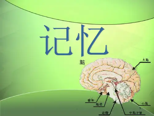 记忆力班会课PPT课件
