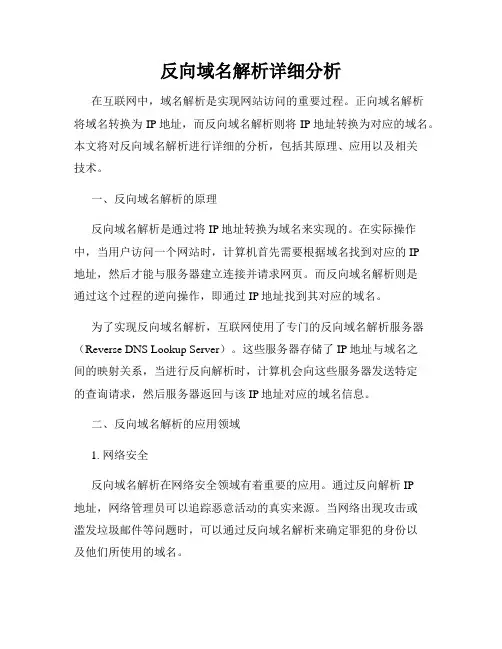 反向域名解析详细分析