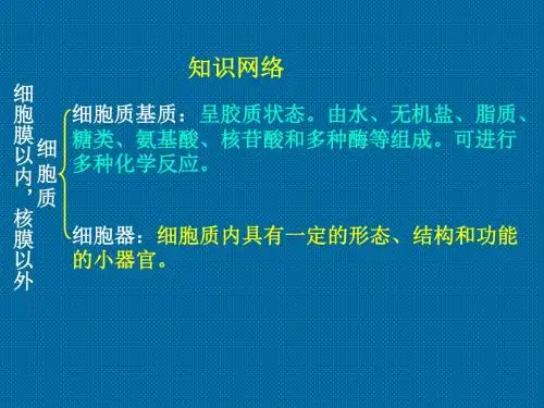 高中生物必修1细胞器