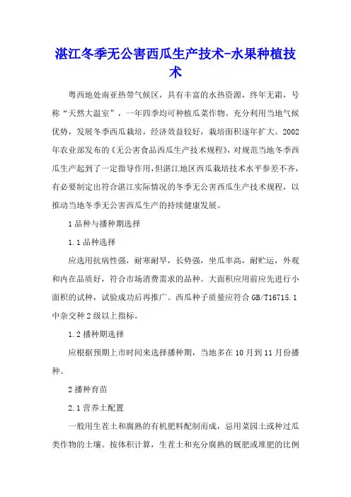 湛江冬季无公害西瓜生产技术 - 水果种植技术