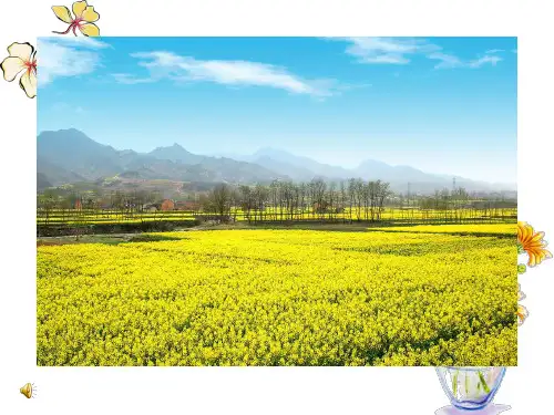 《扮靓生活的花卉纹样》课件