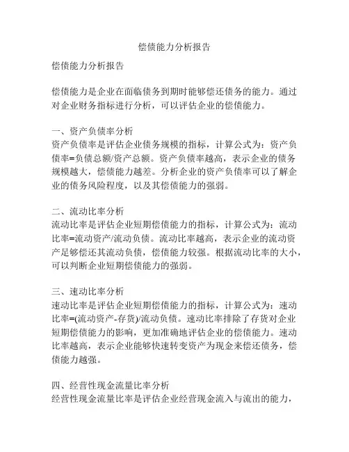 偿债能力分析报告
