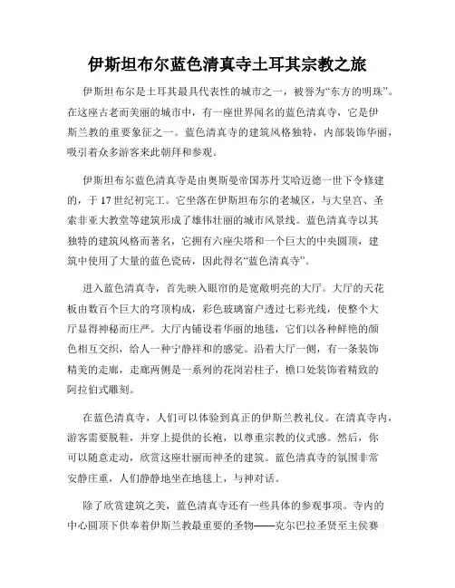 伊斯坦布尔蓝色清真寺土耳其宗教之旅