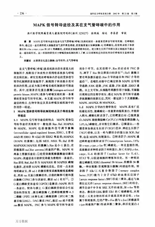 MAPK信号转导途径及其在支气管哮喘中的作用